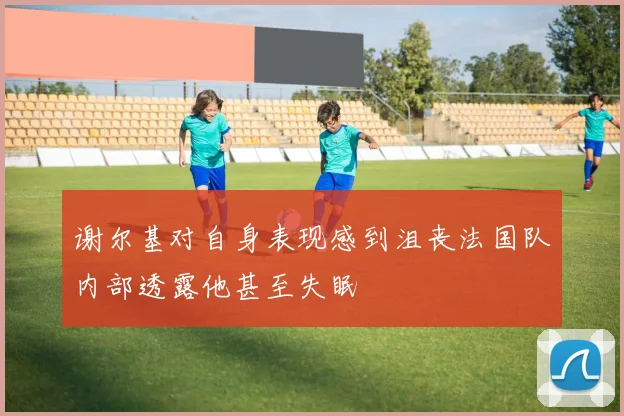 谢尔基对自身表现感到沮丧法国队内部透露他甚至失眠