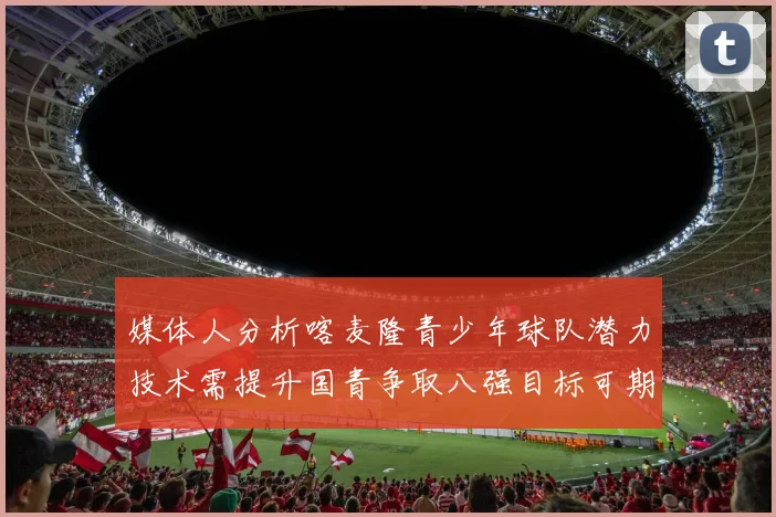 媒体人分析喀麦隆青少年球队潜力技术需提升国青争取八强目标可期