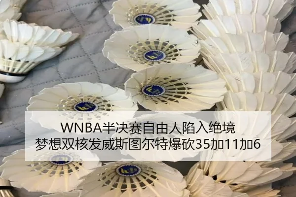 WNBA半决赛自由人陷入绝境 梦想双核发威斯图尔特爆砍35加11加6 | EONSPORT